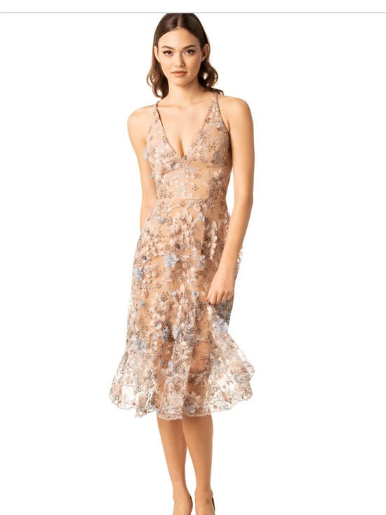 Dress the Population Dresses & Skirts - 🌸 Dress the Population Audrey 3D Floral Applique Lace Gown Blush Pink Small